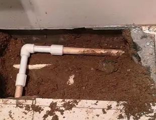 平江测漏水哪家好