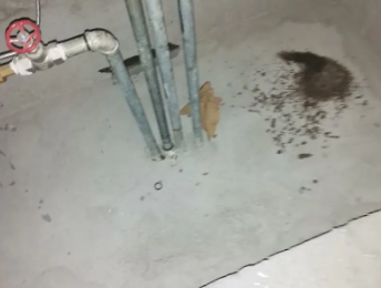 平江卫生间测漏水价格明细