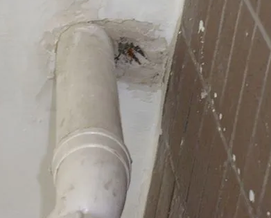 平江漏水检测哪家好